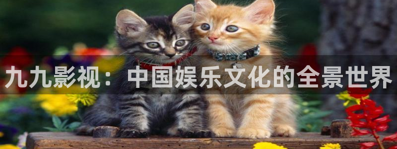 奇优影院免费高清影院电视剧：九九影视：中国娱乐文化的全景世界