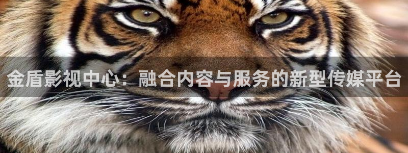 奇优影院大江大河：金盾影视中心：融合内容与服务的新型传媒平台