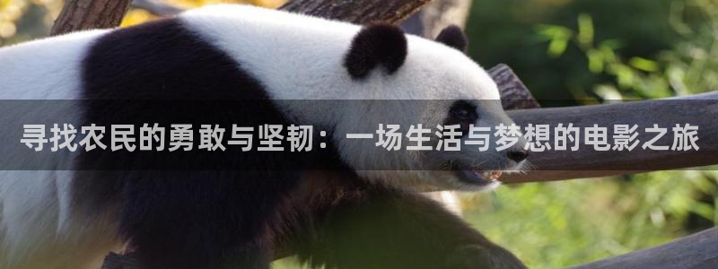 奇优影院手机版免费高清影院傲娇与偏见
