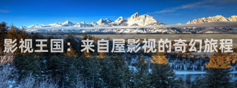 奇优影院手机在线看：影视王国：来自屋影视的奇幻旅程