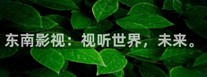 奇优影院手机版免费高清：东南影视：视听世界，未来。