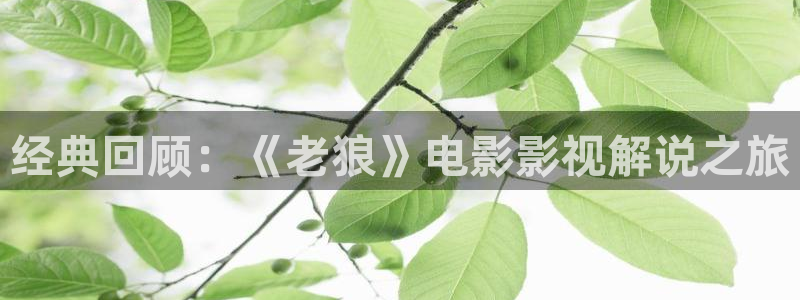 奇优影院论理