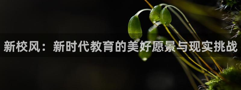 奇优影院免费手机版