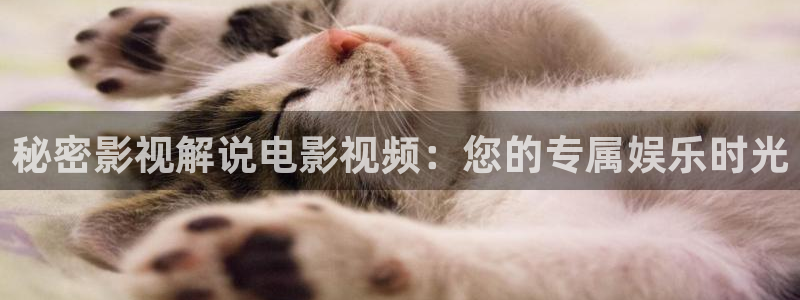 奇优影院手机免费观看完整版