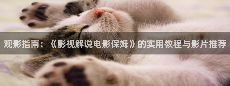 旧版奇优影视手机版