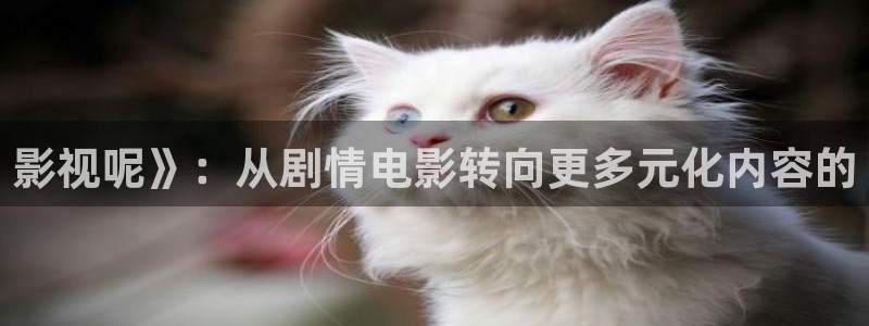 奇优影院电视剧高清手机版