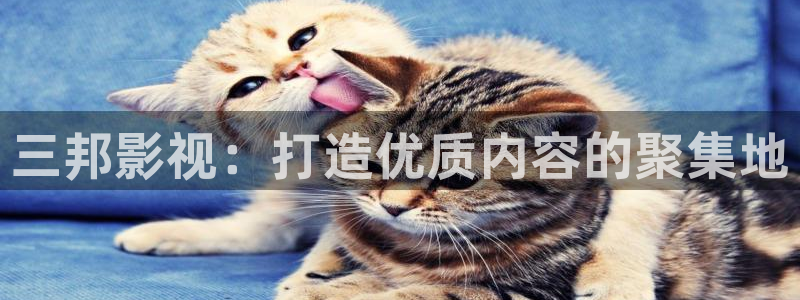 奇优影院手机在线观看