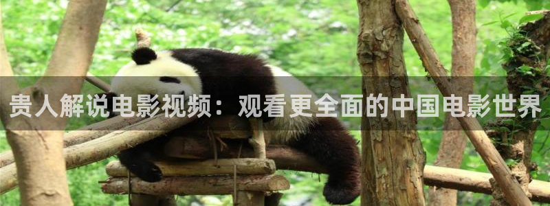 奇优影院在线观看电影
