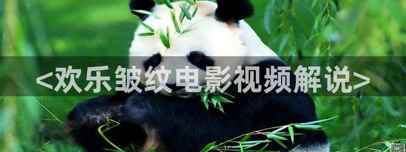 奇优影院电视剧电影免费观看