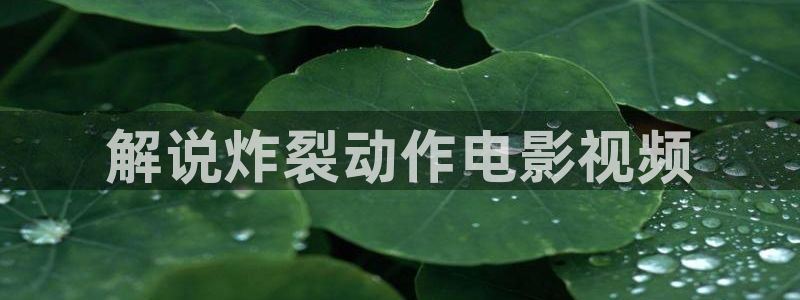 奇优影院在线免费看：解说炸裂动作电影视频