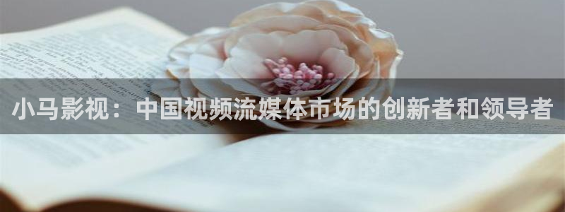 良辰之屋2奇优影院：小马影视：中国视频流媒体市场的创新者和领导者