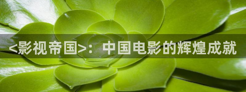 奇优影院旧版手机电视剧免费：<影视帝国>：中国电影的辉煌成就