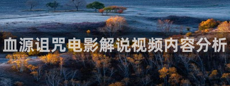 美味客房沙龙服务奇优影院：血源诅咒电影解说视频内容分析