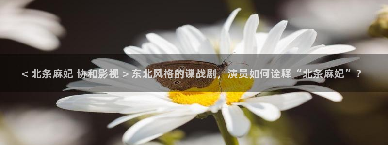 奇优影视手机版2025：< 北条麻妃 协和影视 > 东北风格的谍战剧，演员如何诠释“北条麻妃”？