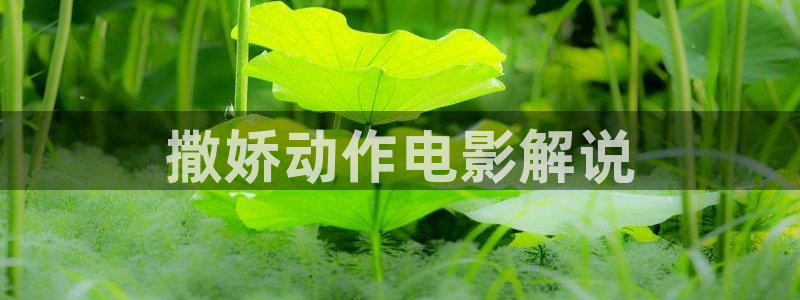 奇优影院电视剧第三页：撒娇动作电影解说