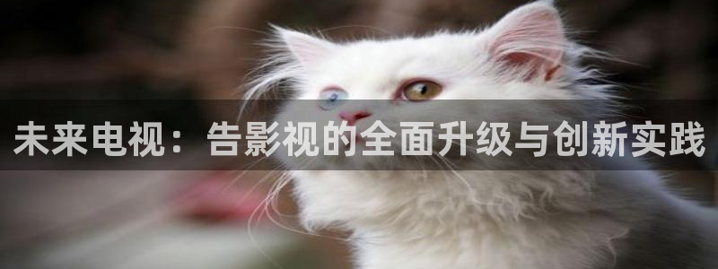 奇优影院在线免费版电视剧