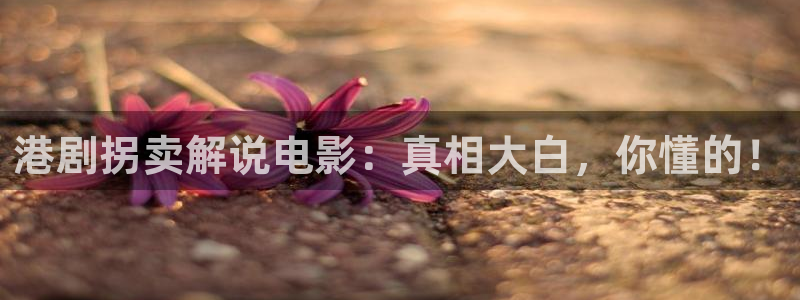 奇优影院手机理论片