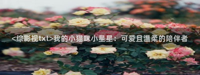 奇优影视手机版免费看电影