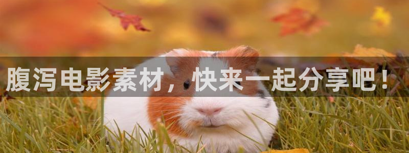 奇优影院电影剧电视剧