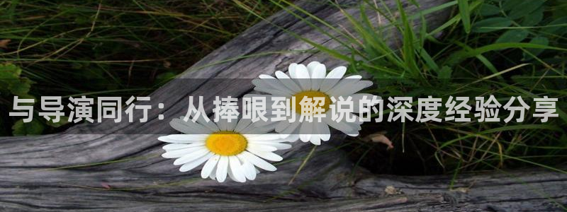 奇优影院免费电影一区二区三区