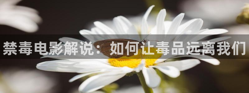 奇优影院在线