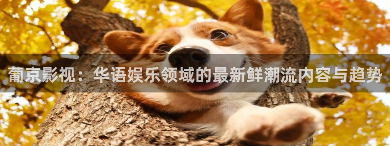 奇优影院在线高清免费观看：葡京影视：华语娱乐领域的最新鲜潮流内容与趋势