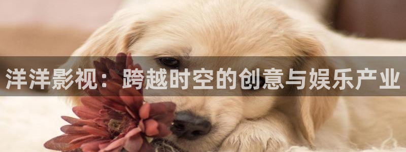 奇优影院免费高清影院电视剧：洋洋影视：跨越时空的创意与娱乐产业