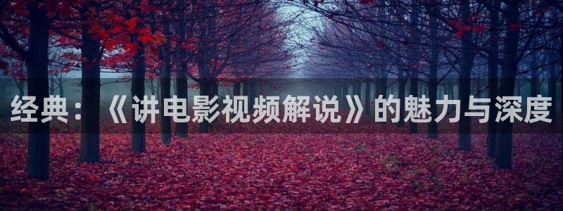 奇优影院美景之屋：经典：《讲电影视频解说》的魅力与深度