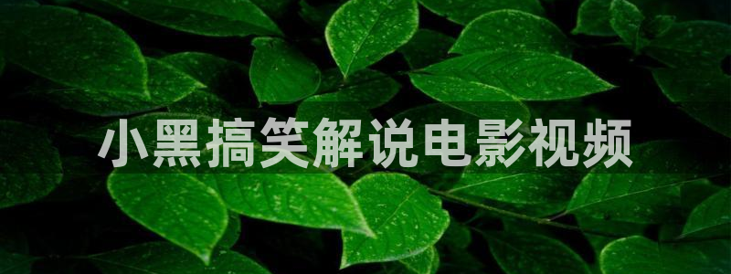 奇优影院网站：小黑搞笑解说电影视频