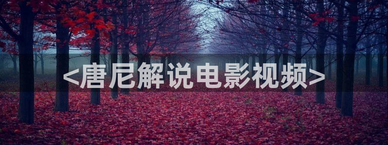 奇优影视手机版免费版：<唐尼解说电影视频>
