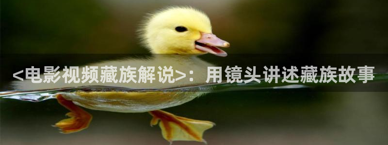 奇优影院 电视剧：<电影视频藏族解说>：用镜头讲述藏族故事